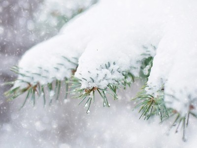 Как ухаживать за детской площадкой зимой: советы и рекомендации по уходу за игровым оборудованием Как ухаживать за детской площадкой зимой: советы и рекомендации по уходу за игровым оборудованием